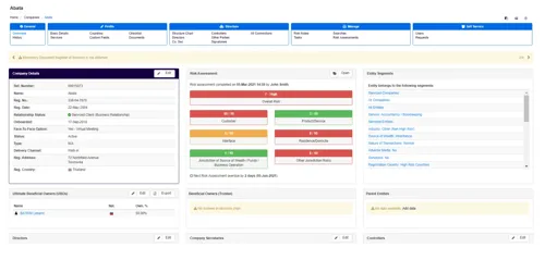 Screenshot of Client Overview Dashboard for companies